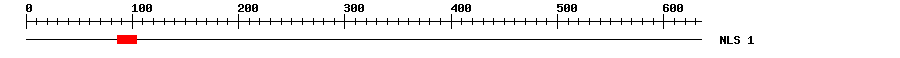 NLS