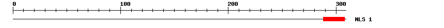 NLS