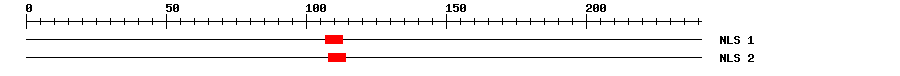 NLS