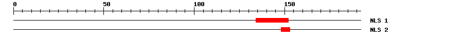 NLS