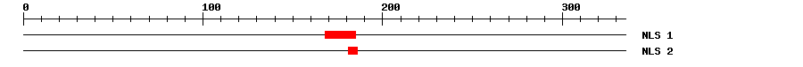 NLS