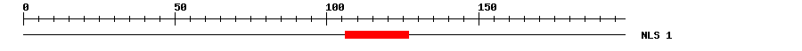 NLS
