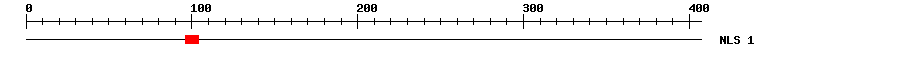 NLS