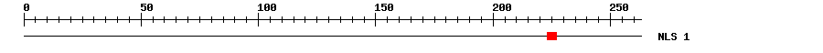 NLS