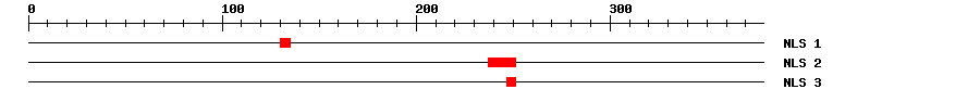 NLS