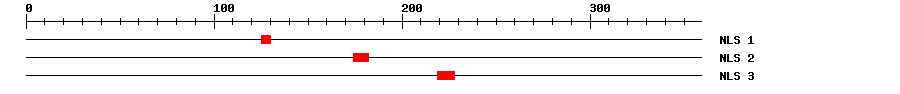 NLS
