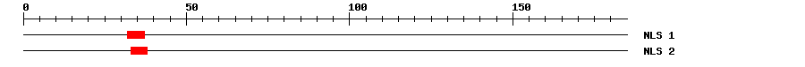 NLS