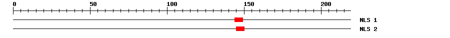NLS