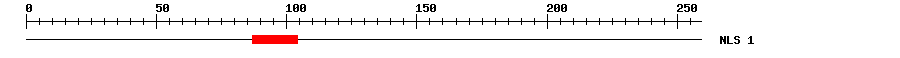 NLS