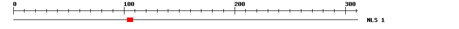 NLS