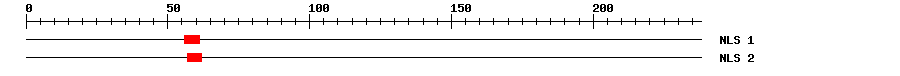 NLS