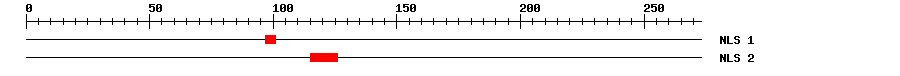 NLS