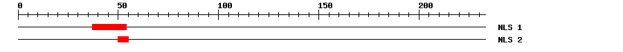 NLS