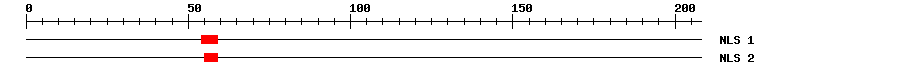 NLS