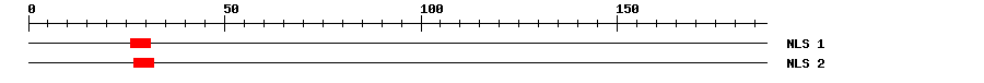 NLS