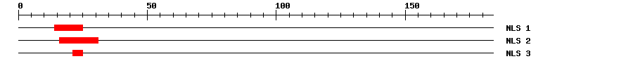 NLS