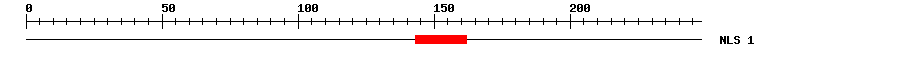 NLS