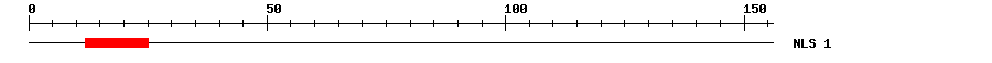 NLS