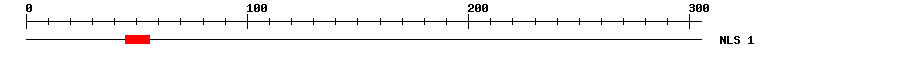 NLS