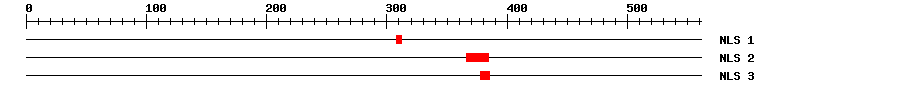 NLS