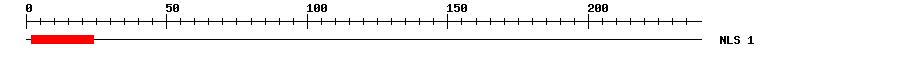 NLS