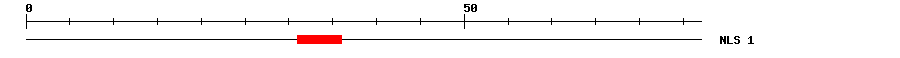 NLS
