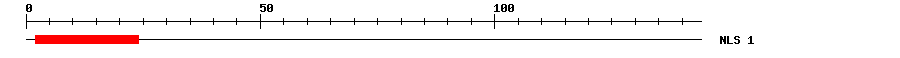 NLS