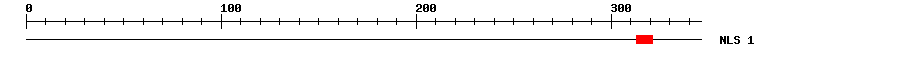 NLS