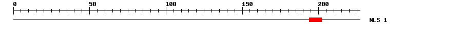 NLS