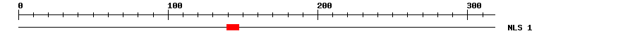 NLS