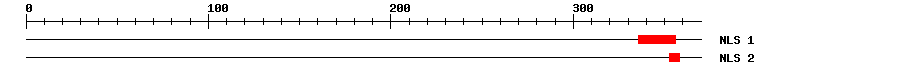 NLS
