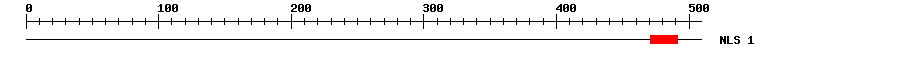 NLS