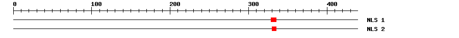 NLS