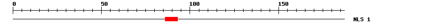 NLS
