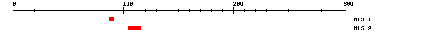 NLS