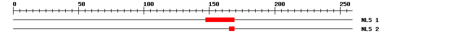 NLS