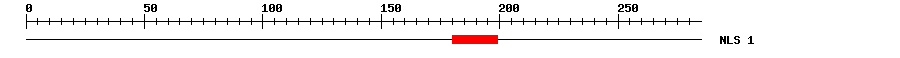 NLS