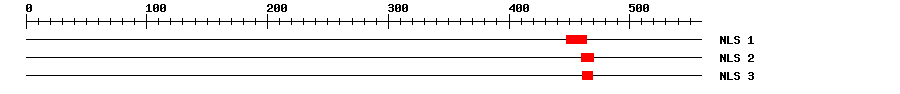 NLS