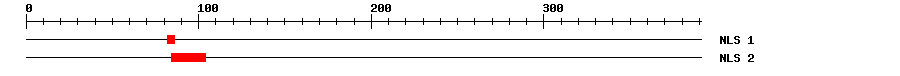 NLS