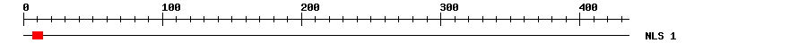NLS