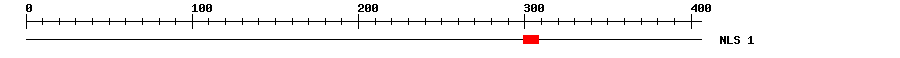 NLS