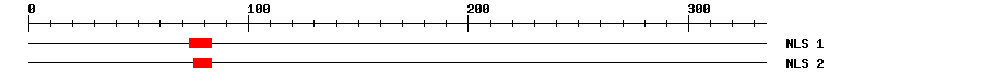 NLS