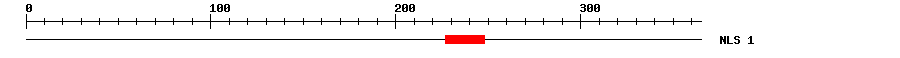 NLS