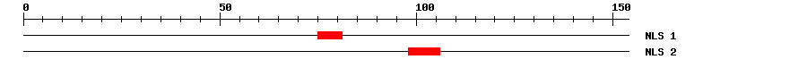 NLS
