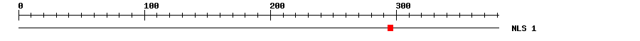NLS