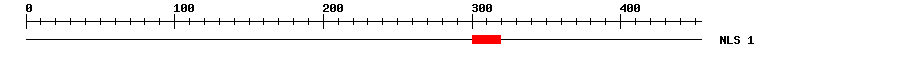 NLS