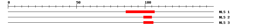 NLS
