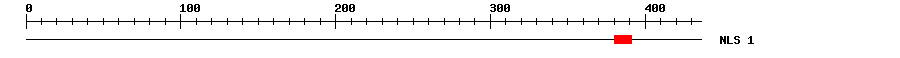 NLS