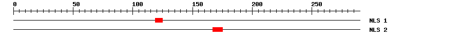 NLS