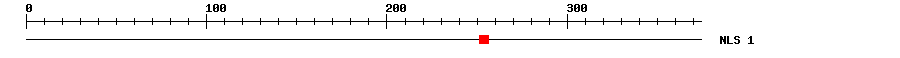 NLS